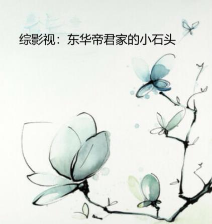 綜影視：東華帝君家的小石頭